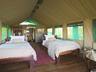 Twin Bed