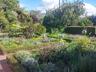 Our Garden