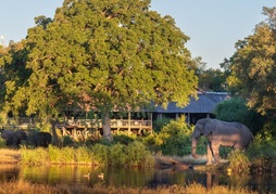 Sabi Sabi Bush Lodge