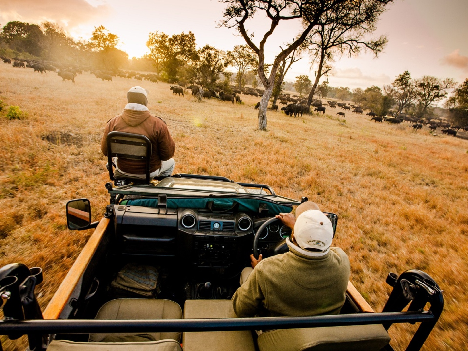 game drive 1