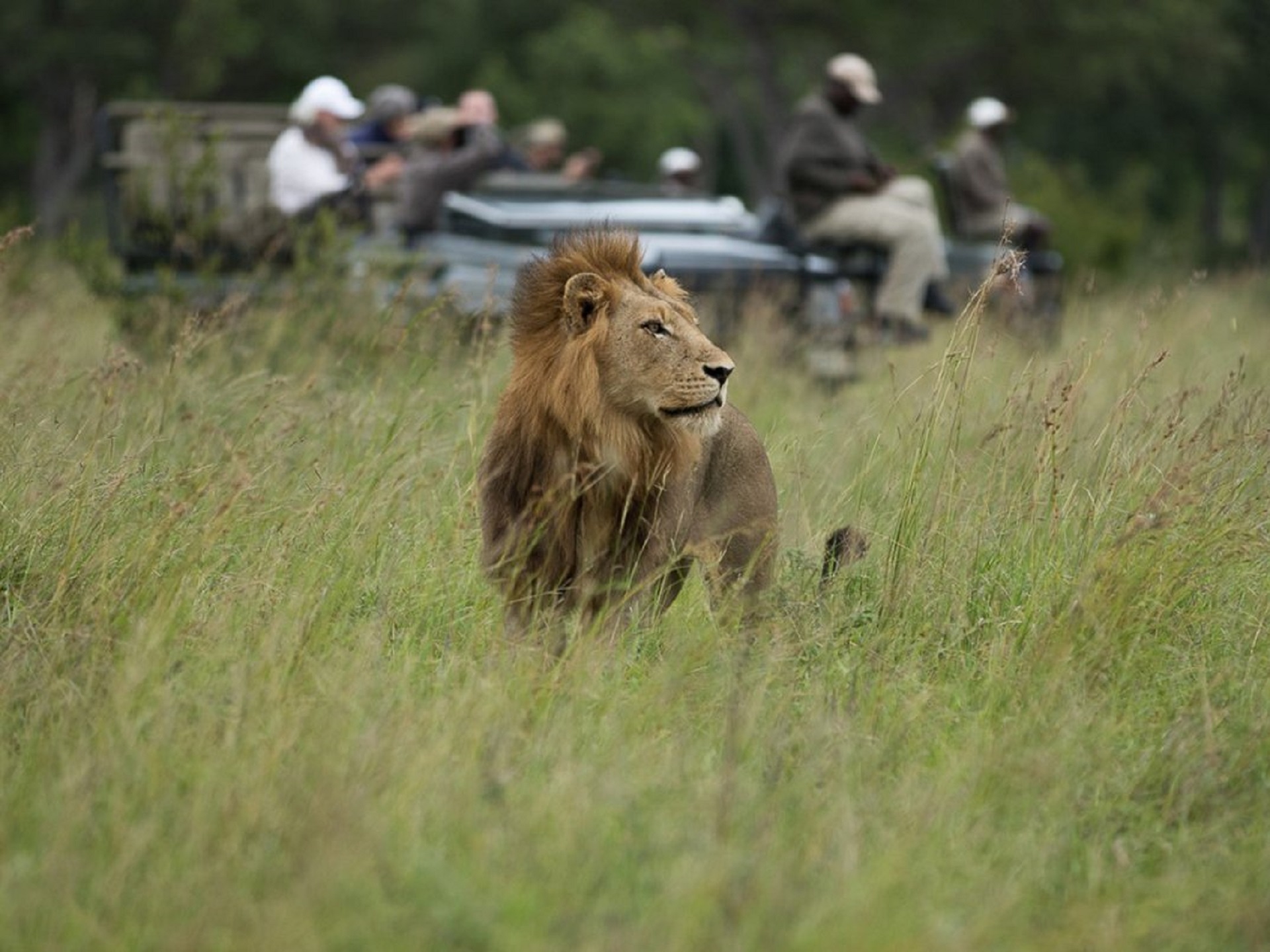 game drive 2