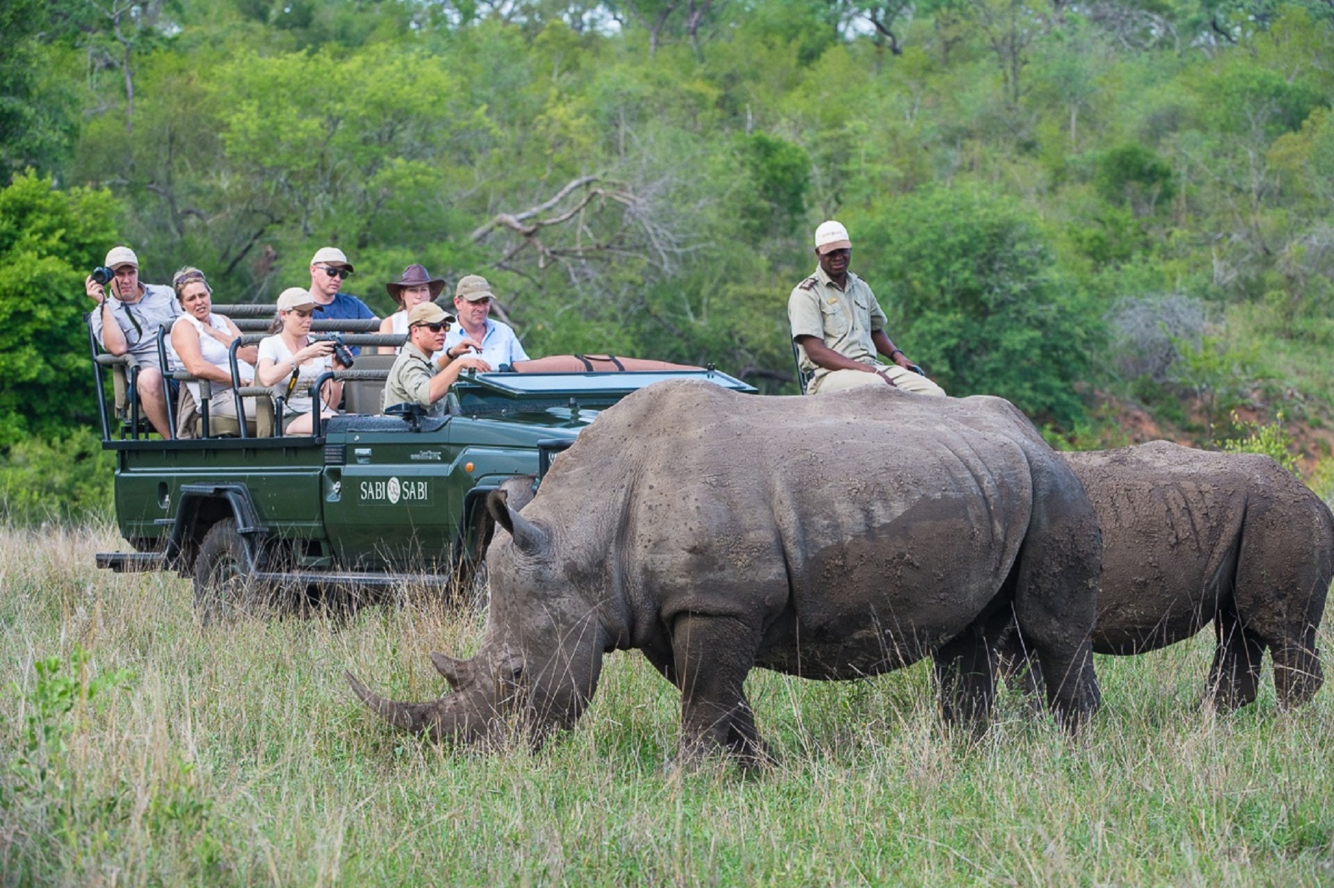 safari 3