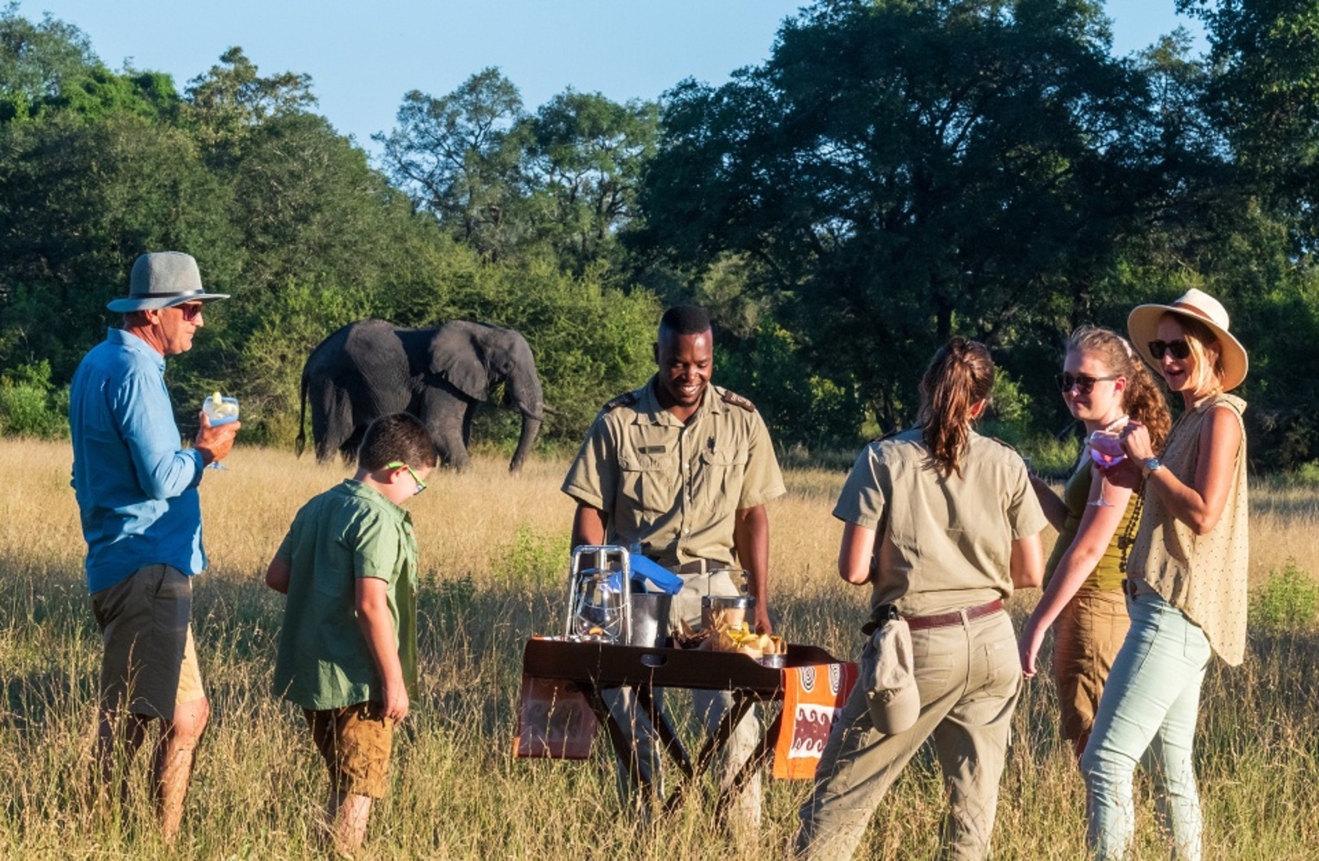 walking safari