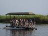 Boat Cruises