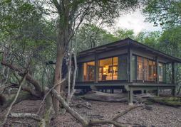 Phinda Forest Lodge