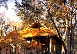 Sandibe Okavango Safari Lodge