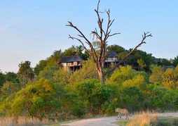 Leopard Hills Private Game Reserve