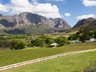 Vineyard