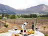 Picnics