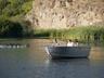 Boat Safari