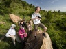 Bush Walks