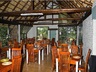 The Tree Restaurant