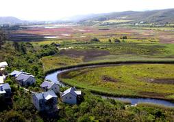 Emily Moon River Lodge