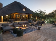 Shamwari Game Reserve - Bayethe