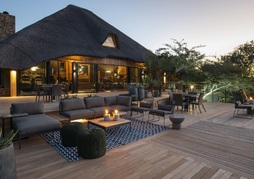 Shamwari Game Reserve - Bayethe
