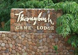 Thornybush - Thornybush Game Lodge