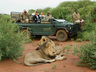 Game Drives