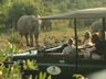 Game Drives