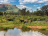 Game Drives