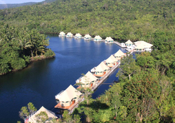 Canvas and Orchids Retreat