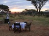 bush dining
