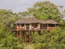 Tarangire Treetops
