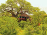 Tarangire Treetops