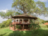Tarangire Treetops