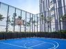 Basketball Court