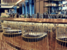 1608 - Wine & Cheese Bar