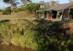 Ol Pejeta Bush Camp