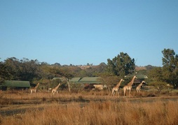 Fugitives' Drift Lodge and Guesthouse