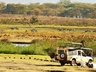 Game Drive