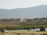 The Manor at Ngorongoro