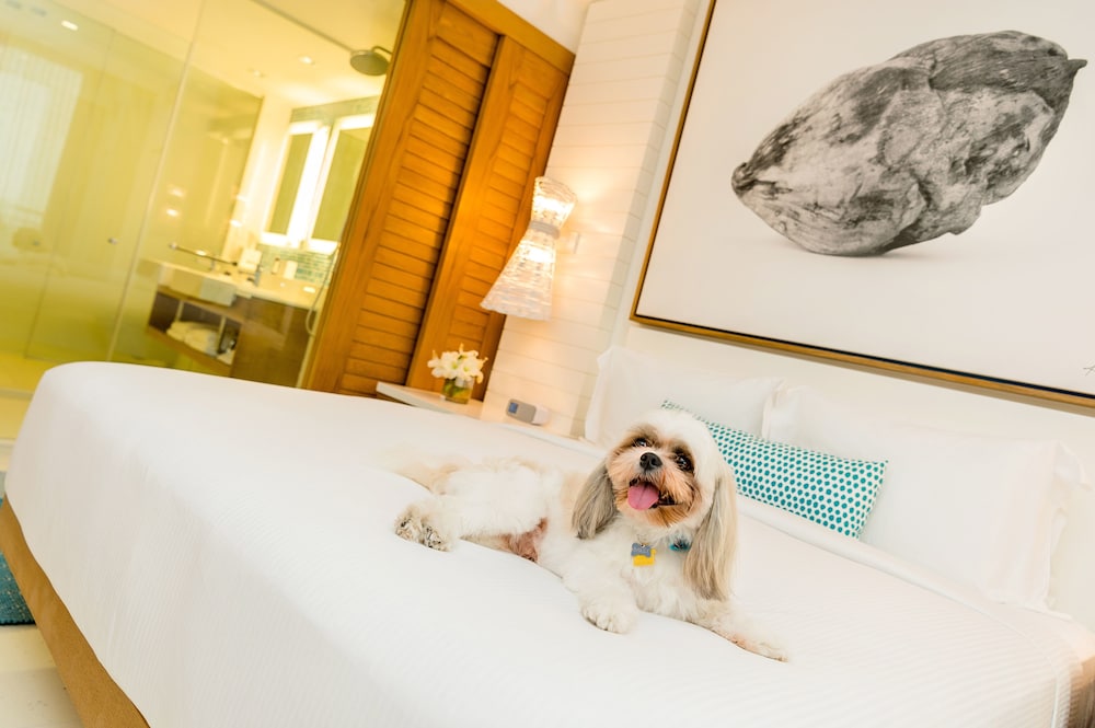 Pet-Friendly