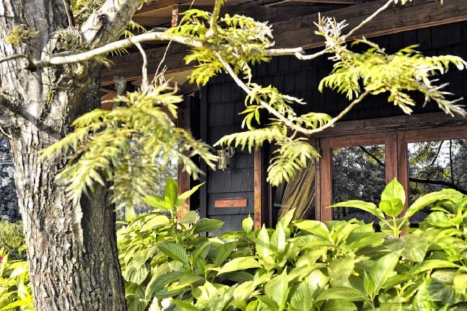 Plantation Suite Exterior