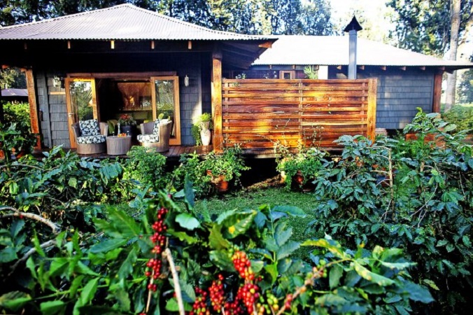 Plantation Suite Exterior