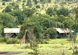 Porini Rhino Camp