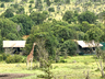 Porini Rhino Camp