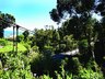 Hanging Bridge