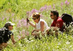 Cathedral Mountain Lodge