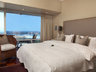 Dolphin Suite