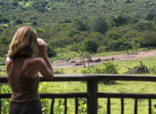 Mihingo Lodge