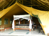 Flamingo Hill Tented Camp