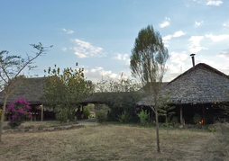 Mbweha Camp Lake Nakuru