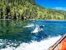 Wildlife Adventure Tours