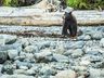 The Stars of the Wildlife Tour
