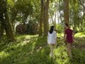 Walking with Giants