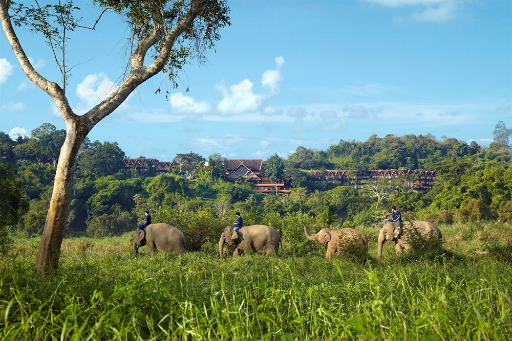 Elephant Camp
