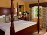 Caribbean Honeymoon Premium